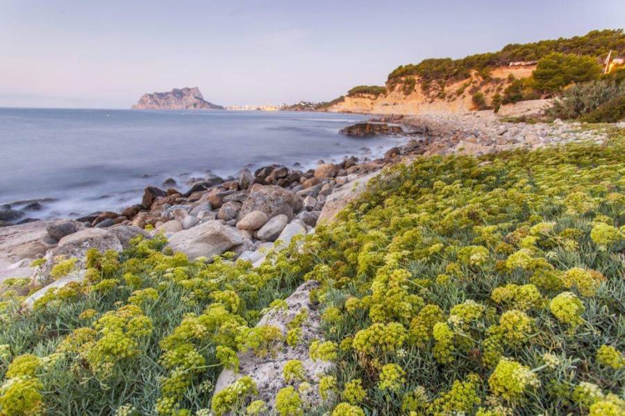 New Build - Detached - Benissa - Cala Advocat