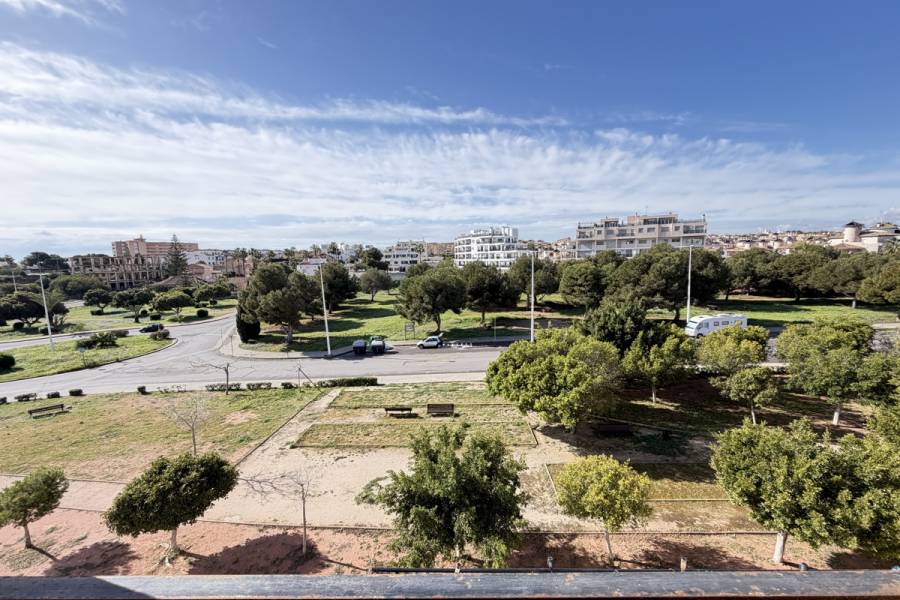 Resale - Apartment - Orihuela Costa - La Zenia