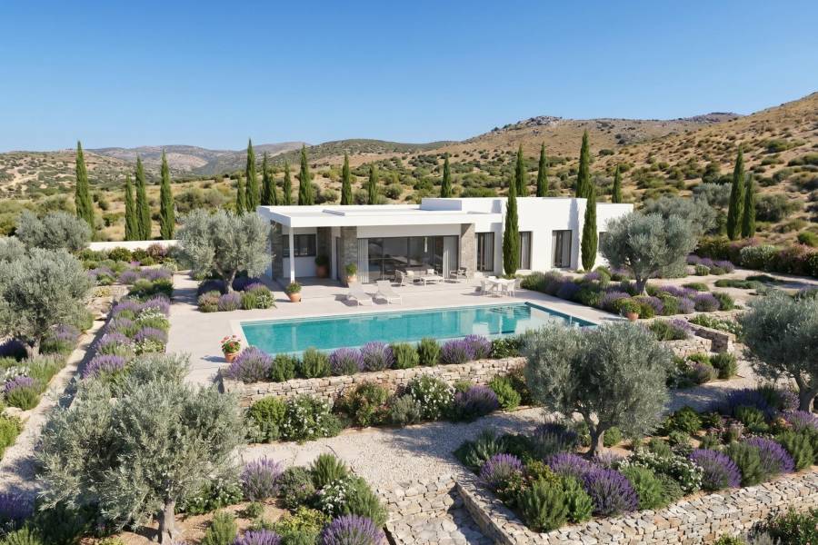 Nueva construcción  - Chalet - Pinoso - Casas Pastor