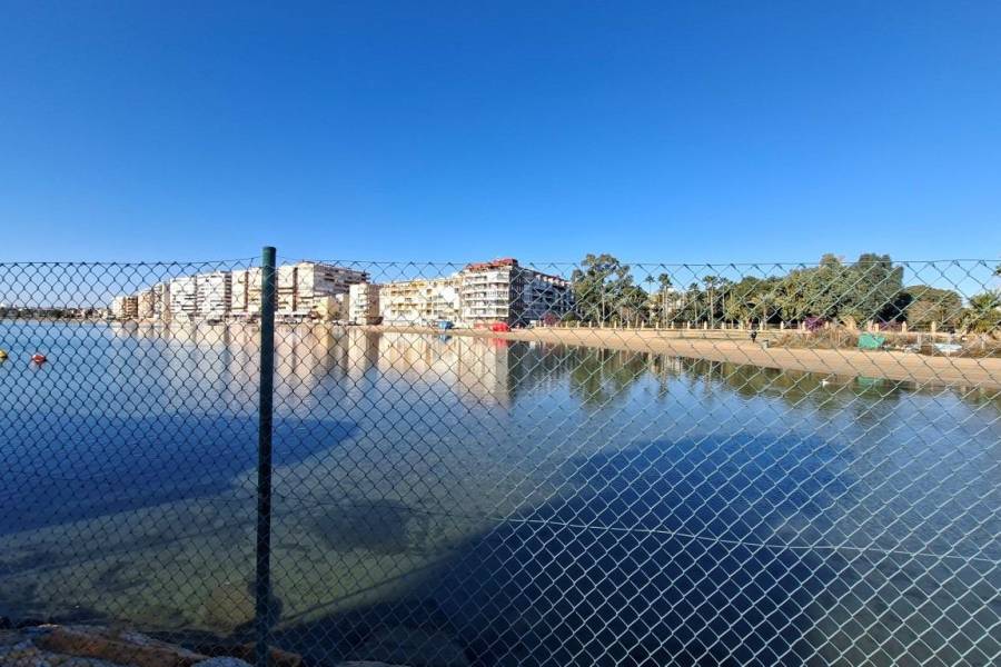 Locales en alquiler/traspaso - Local Comercial - Torrevieja - Acequion