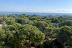 New Build - Apartment - Guardamar del Segura - Centro