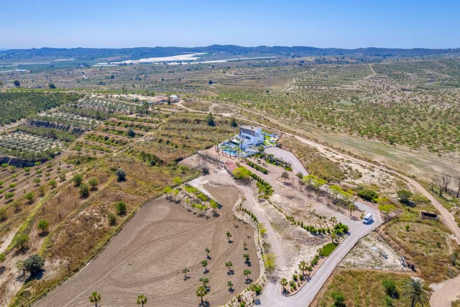 Resale - Detached - Torremendo