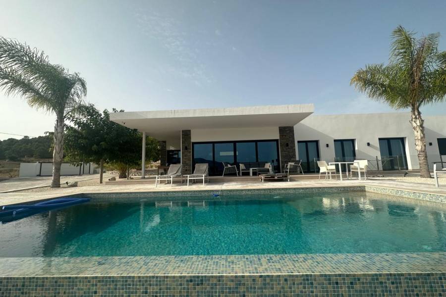 Nueva construcción  - Chalet - Pinoso - Casas Pastor