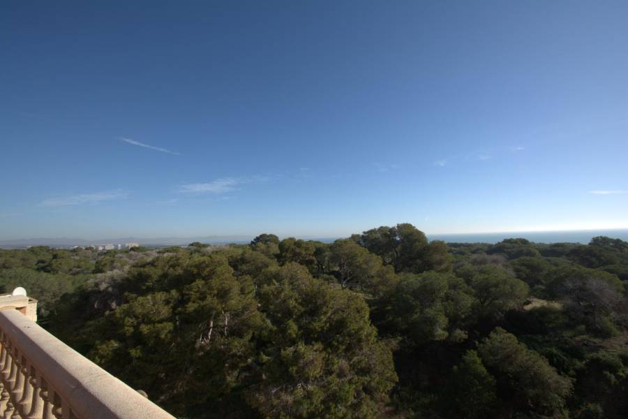 Nueva construcción  - Apartamento - Guardamar del Segura - Pueblo