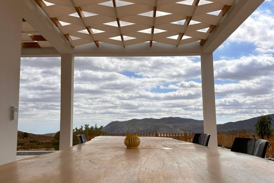 Nueva construcción  - Chalet - Pinoso - Casas Pastor