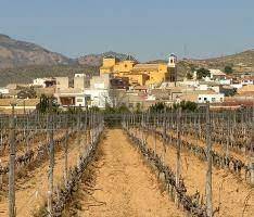 New Build - Apartment - Hondón de las Nieves - El Salero