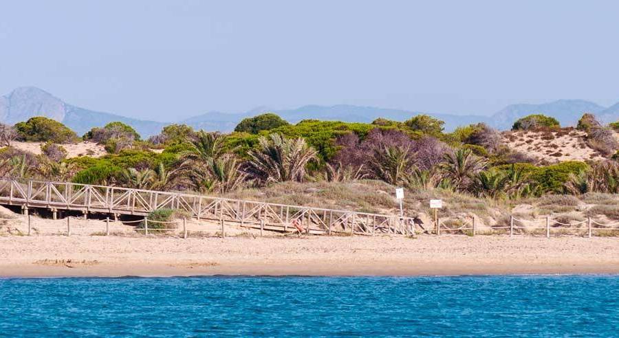 Nueva construcción  - Apartamento - Guardamar del Segura - Pueblo