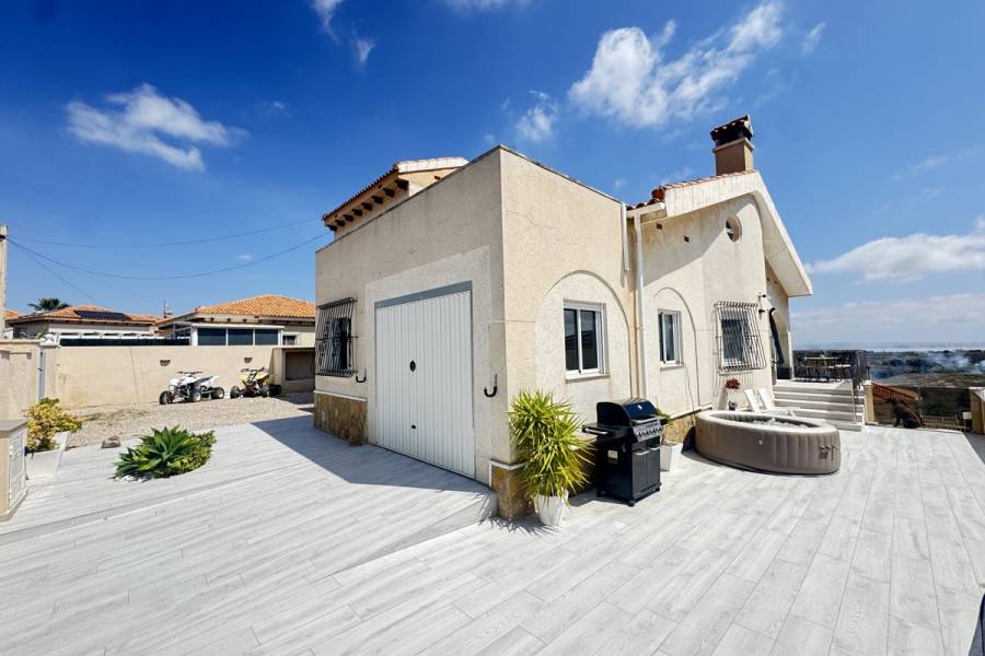 Resale - Detached - San Miguel de Salinas