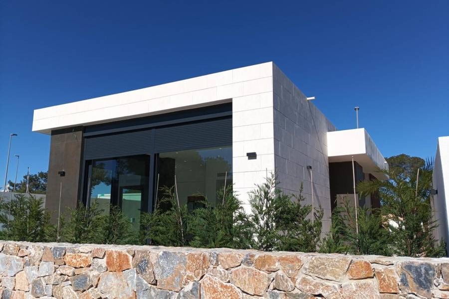 Nieuwbouw - Detached - Pilar de la Horadada - Lo Romero Golf