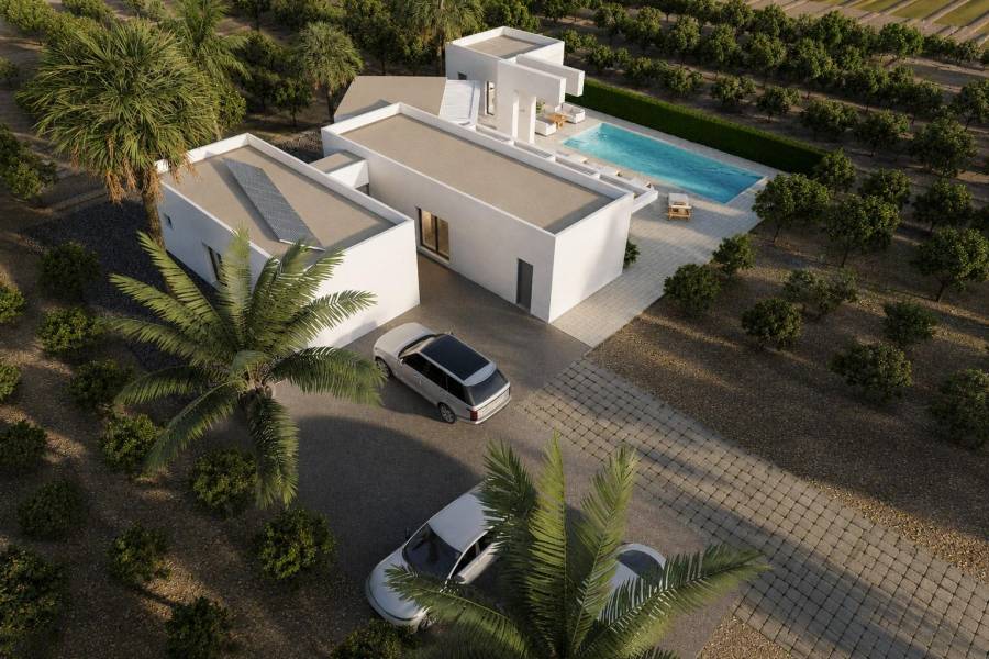 Nieuwbouw - Detached - Benejúzar - alta