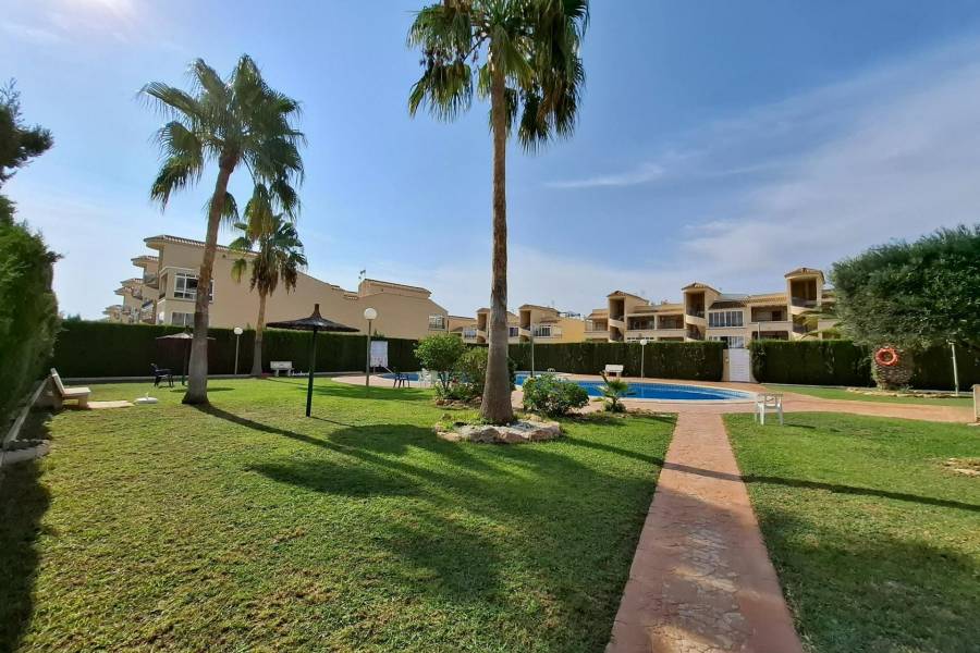 Bestaande bouw - Appartement - Torrevieja - Los Altos