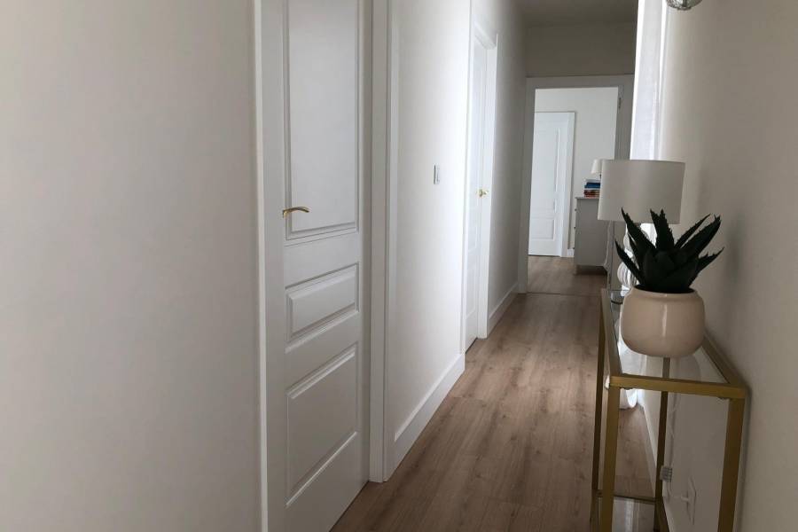 Nueva construcción  - Chalet - Pinoso - Casas Pastor
