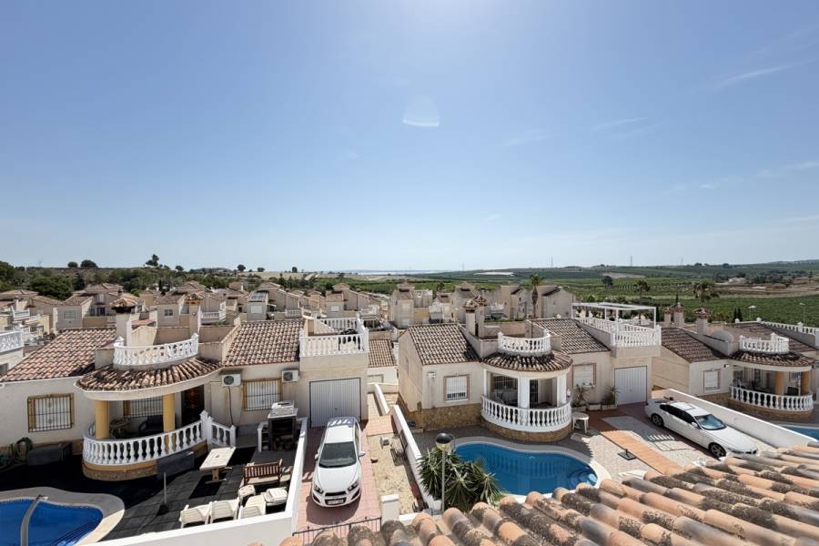 Resale - Detached - San Miguel de Salinas