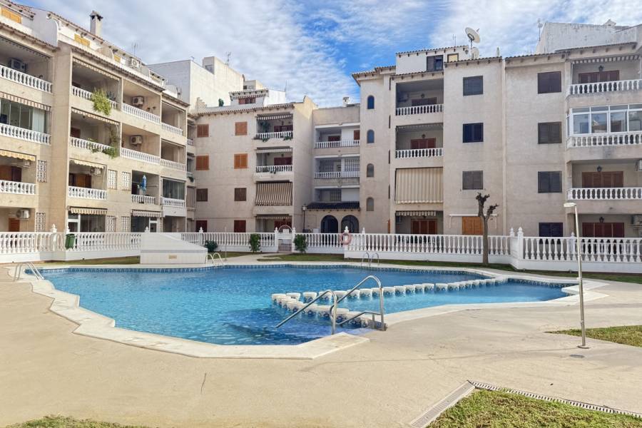 Reventa - Apartamento - Torrevieja