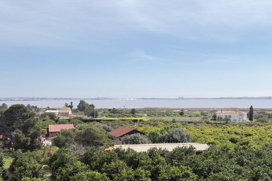 Resale - Apartment - Los Montesinos