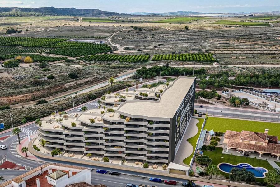 Nueva construcción  - Atico - San Miguel de Salinas - Pueblo