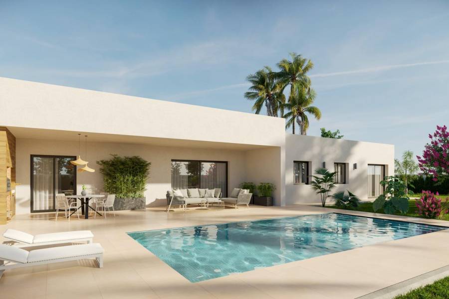 Nueva construcción  - Chalet - Aspe - Poligono 19