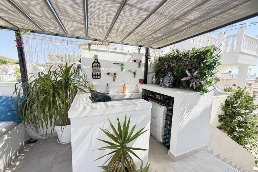 Resale - Detached - San Miguel de Salinas