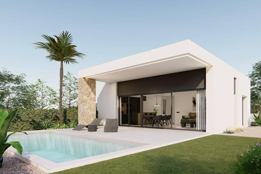 New Build - Detached - Molina De Segura - Urb. La Quinta