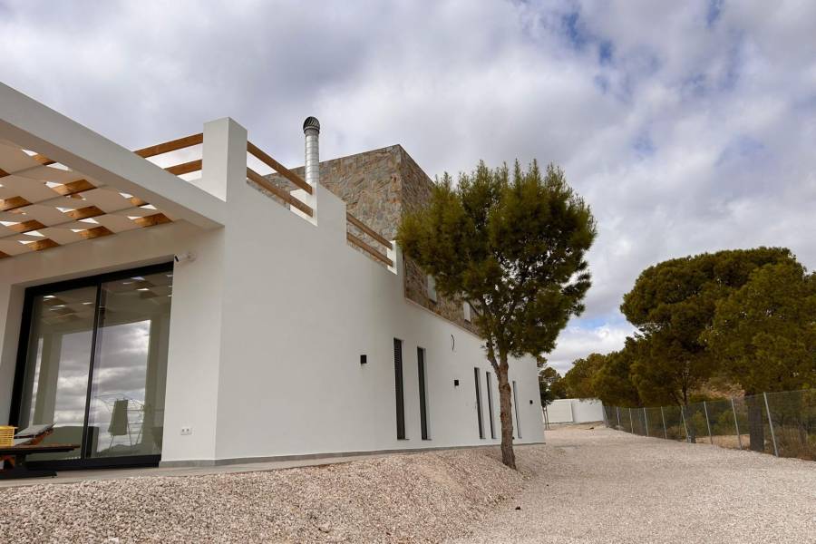 Nueva construcción  - Chalet - Pinoso - Casas Pastor