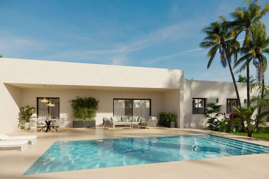 Nueva construcción  - Chalet - Aspe - Poligono 19