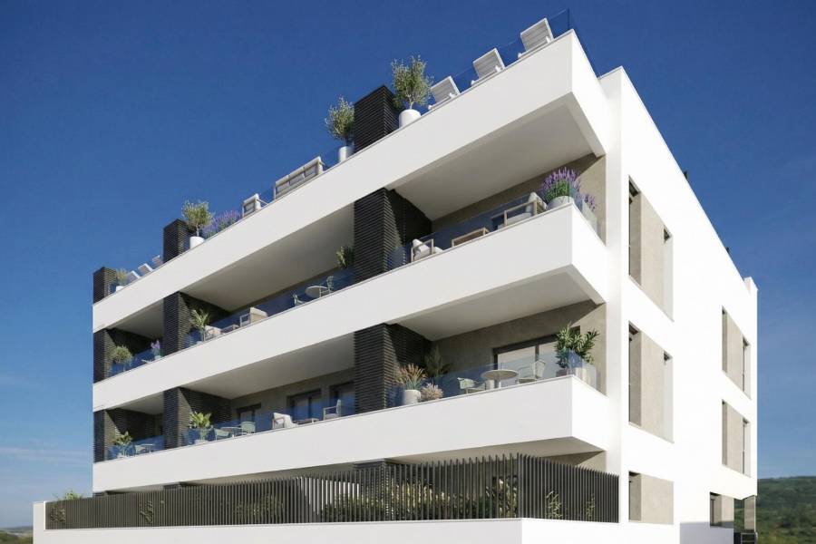New Build - Penthouse - Benijofar - Pueblo
