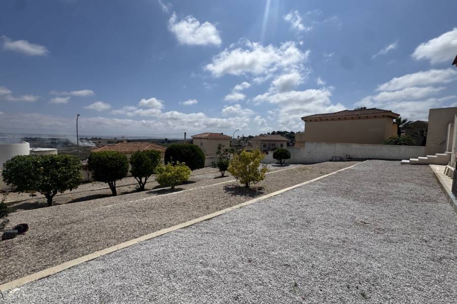 Resale - Detached - San Miguel de Salinas