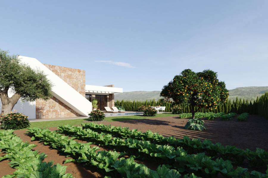 New Build - Detached - Fuente Álamo - Hacienda del Alamo