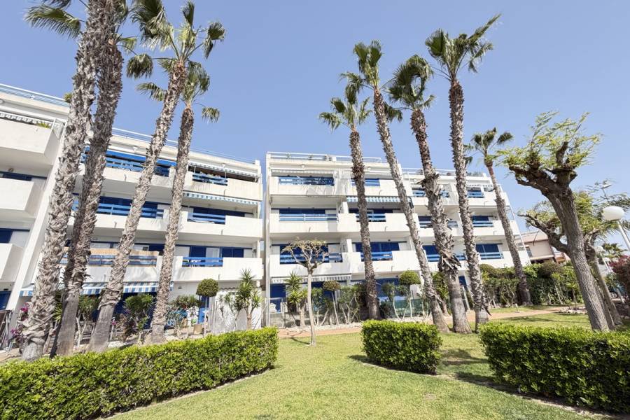 Resale - Apartment - Orihuela Costa - Playa Flamenca