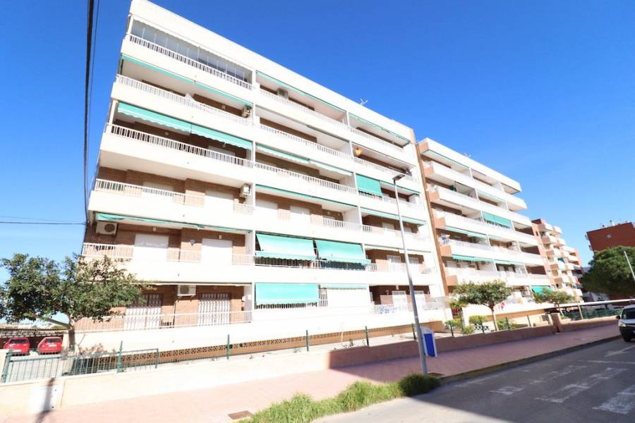 Bestaande bouw - Appartement - Torrevieja - Rocio del Mar