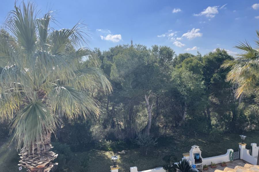 Resale - Apartment - Orihuela Costa - Villamartin
