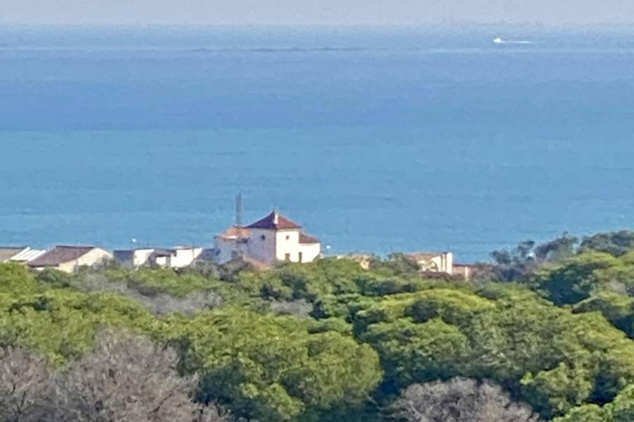 Nueva construcción  - Atico - Guardamar del Segura - Centro