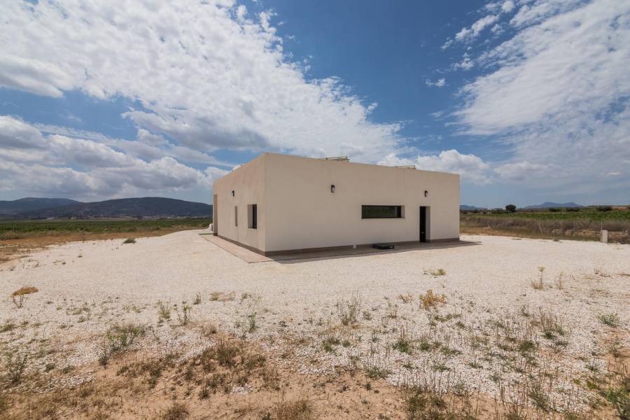 Nueva construcción  - Chalet - Pinoso - Campo