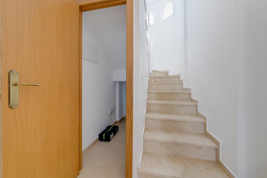 Nueva construcción  - Chalet - San Fulgencio - El Oasis