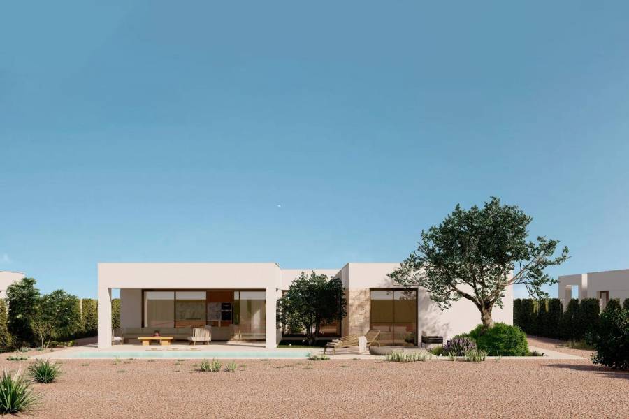 New Build - Detached - Fuente Álamo - Hacienda del Alamo