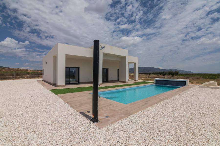 New Build - Detached - Pinoso - Campo