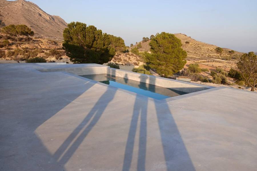 Nueva construcción  - Chalet - Pinoso - Casas Pastor