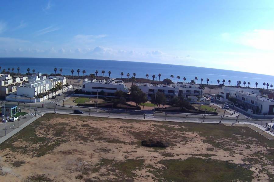 Nieuwbouw - Appartement - Pilar de la Horadada - Playa de las Higuericas