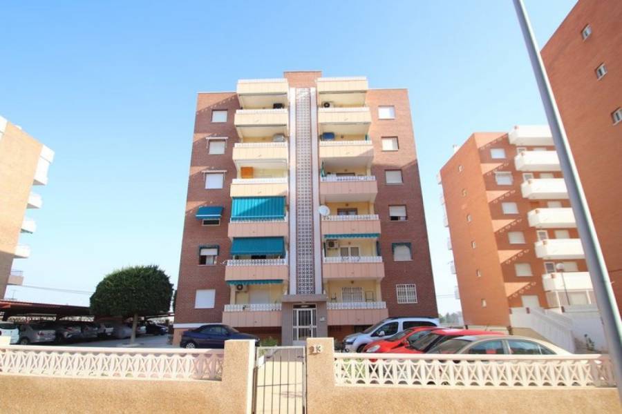 Bestaande bouw - Appartement - Torrevieja - Rocio del Mar