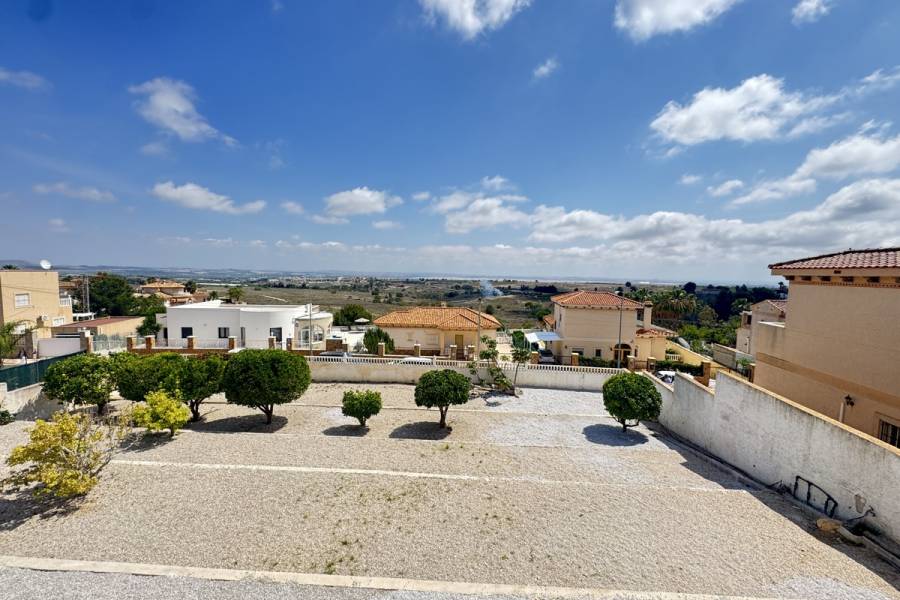 Resale - Detached - San Miguel de Salinas