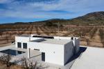 New Build - Detached - Pinoso - Campo