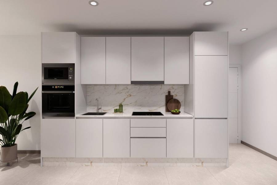 Nieuwbouw - Penthouse - Torrevieja