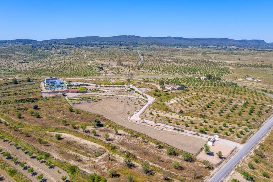 Resale - Detached - Torremendo