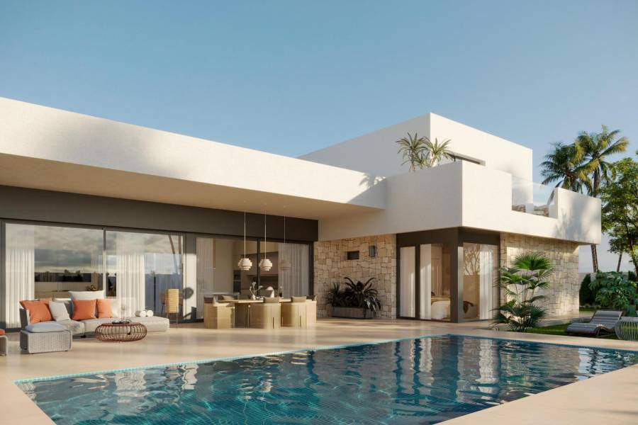 Nueva construcción  - Chalet - Aspe - Poligono 19