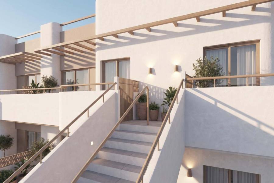 Nieuwbouw - Appartement - Pilar de la Horadada - pueblo