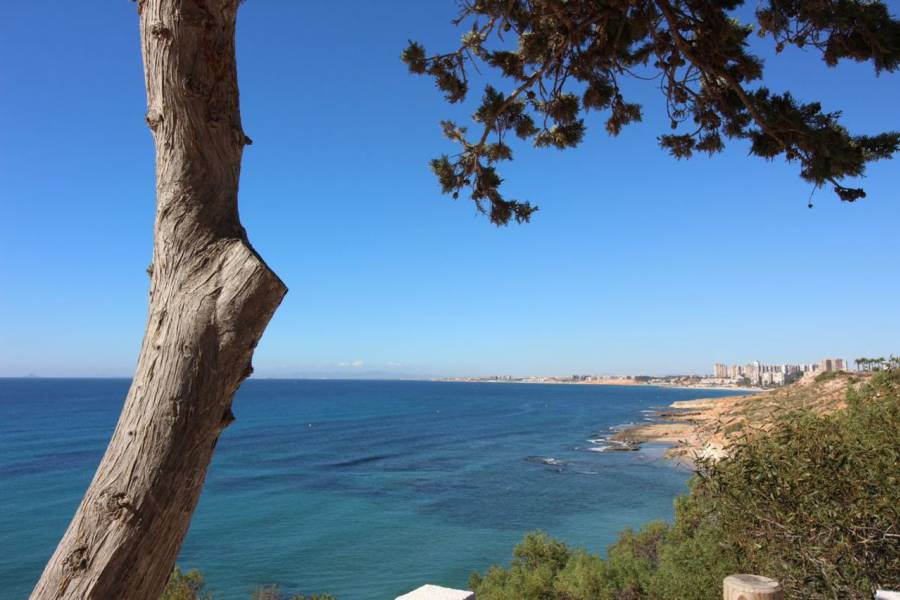 Resale - Detached - Cabo Roig
