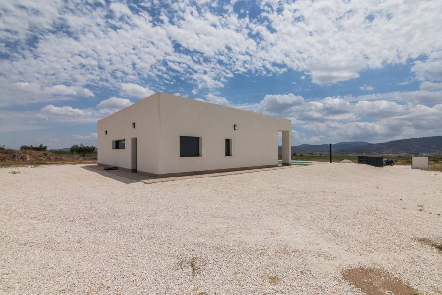 New Build - Detached - Pinoso - Campo