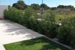Nieuwbouw - Detached - Pilar de la Horadada - Lo Romero Golf