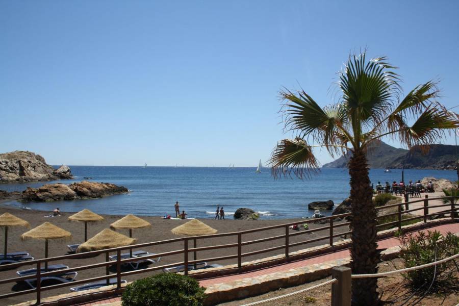 Nueva construcción  - Adosado - La Union - centro