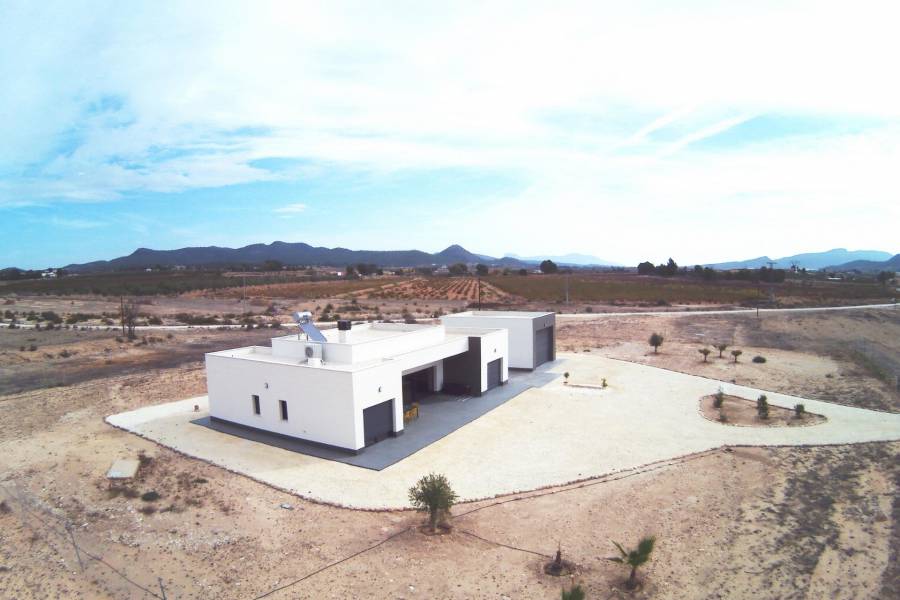 New Build - Detached - Pinoso - Camino Del Prado